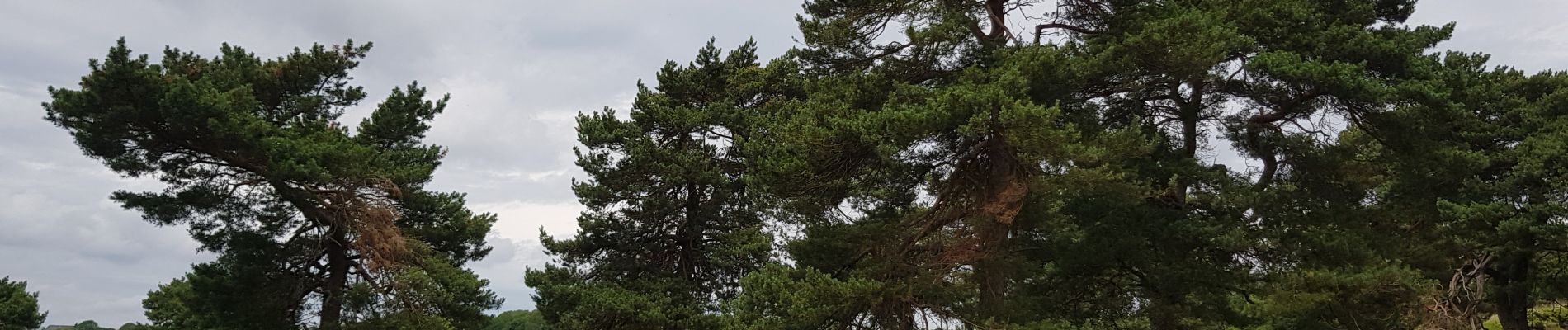 Excursión Senderismo Chaudfontaine - Chaudfontaine - Ninane - Bois-les-Dames  - Photo