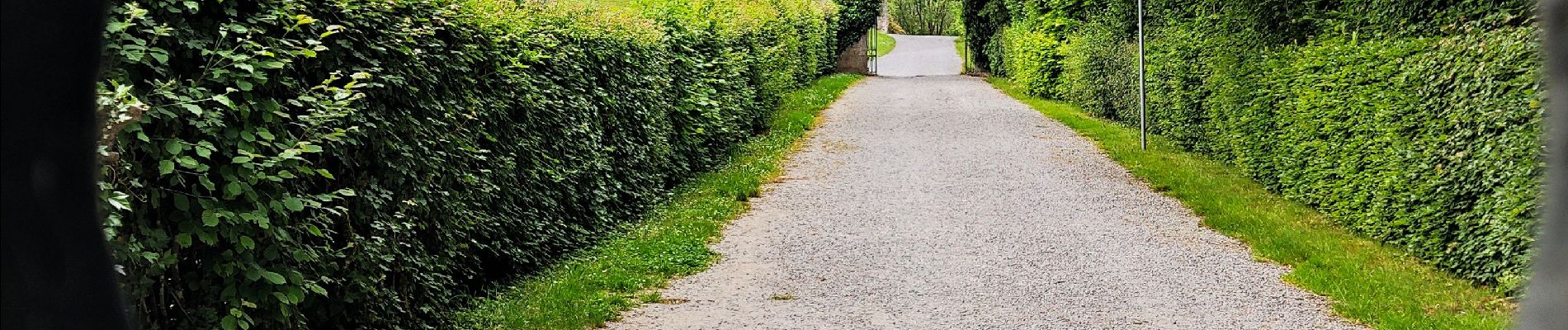 Tocht Stappen Houyet - Promenade vers le Château de Vêves  - Photo