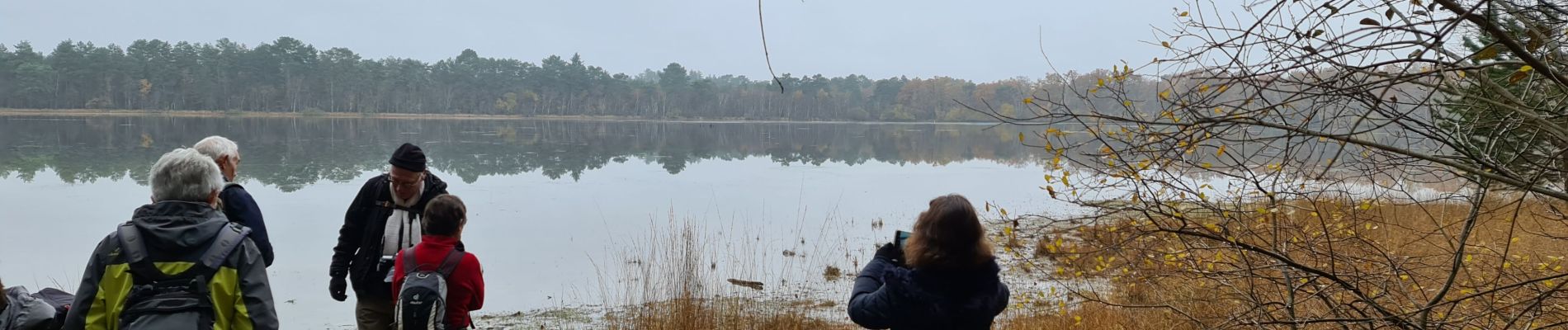 Tour Wandern Nouan-le-Fuzelier - Etang des Lévrys - Photo