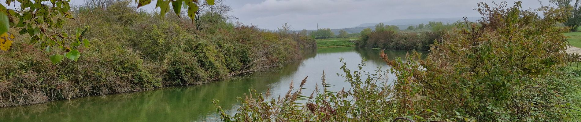 Randonnée Marche Montélimar - Gournier Châteauneuf-du-Rhône 10km. - Photo