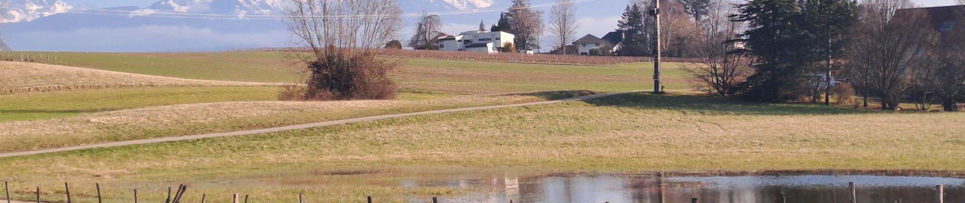 Tocht Stappen Apremont - APREMONT CHACUZAR - Photo