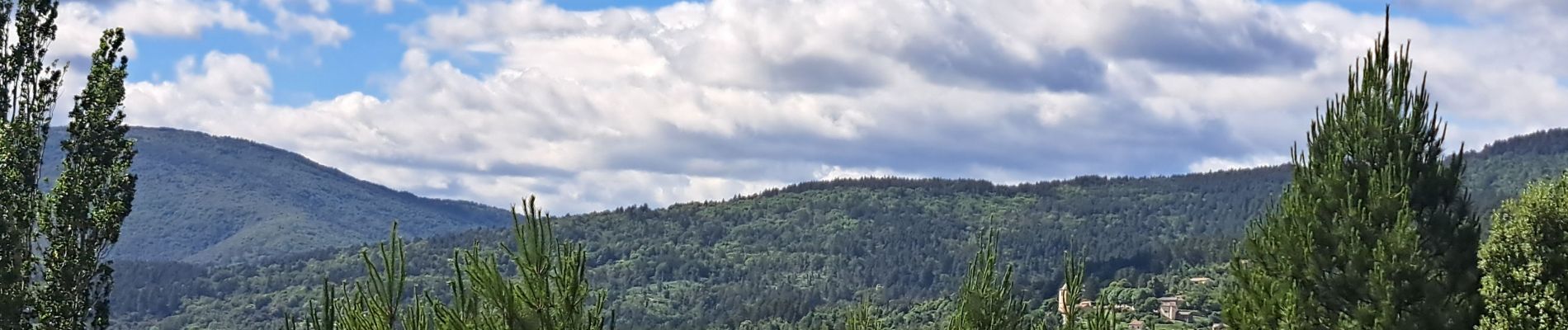 Tour Wandern Ponteils-et-Brésis - Nord haute Vallee de la Cèze - Photo