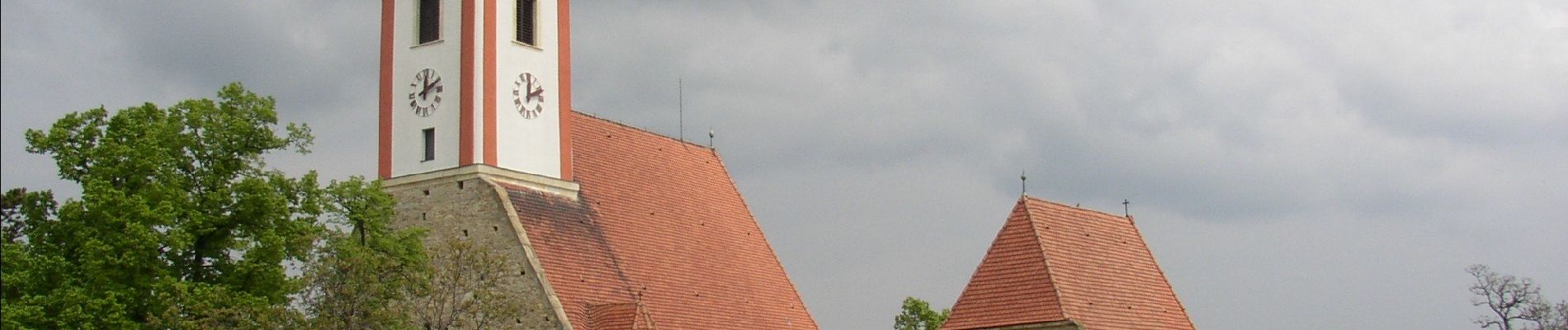 Trail On foot Gemeinde Würflach - Würflach - Lärbaumkreuz - Johannesbachklamm Rundwanderweg - Photo