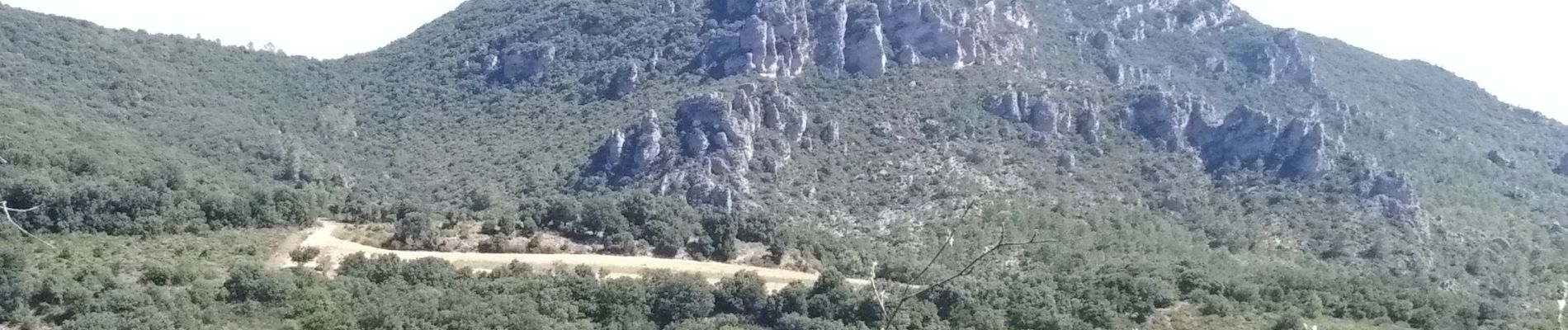 Tocht Stappen Mourèze - Mourèze - Crète de Liausson - Photo