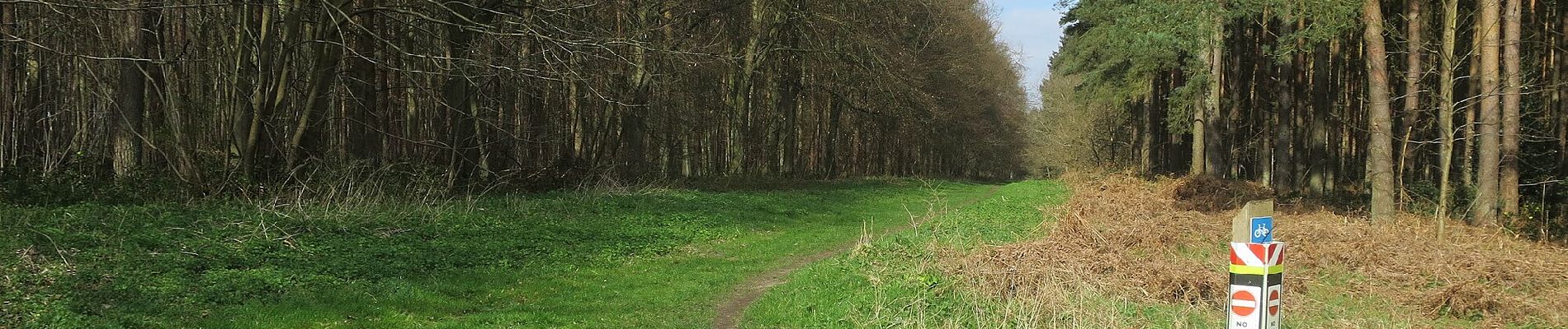 Randonnée A pied West Suffolk - Goshawk Trail - Photo