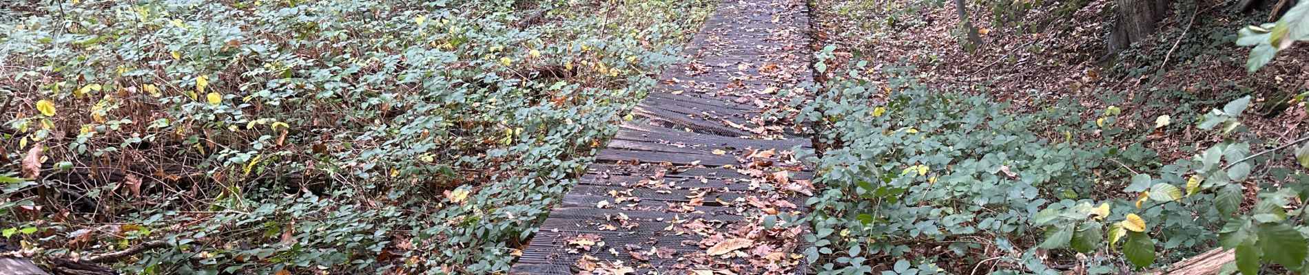 Excursión Senderismo Lubbeek - Lubbeek 19,7 km - Photo