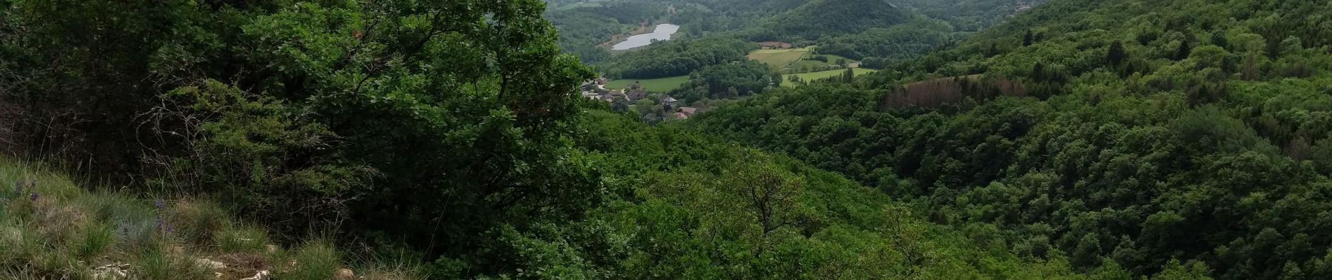 Trail Mountain bike Innimond - Descente sur Saint Germain - Photo