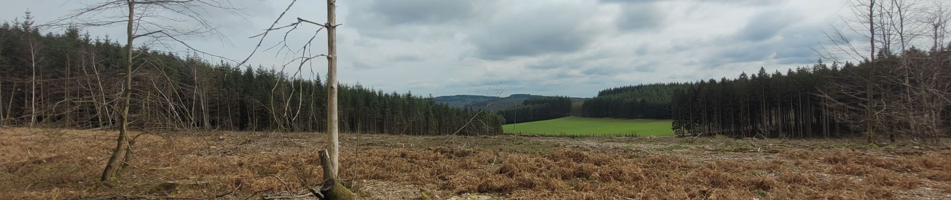 Tocht Stappen Bouillon - rando rochehaut 10-03-2024 - Photo