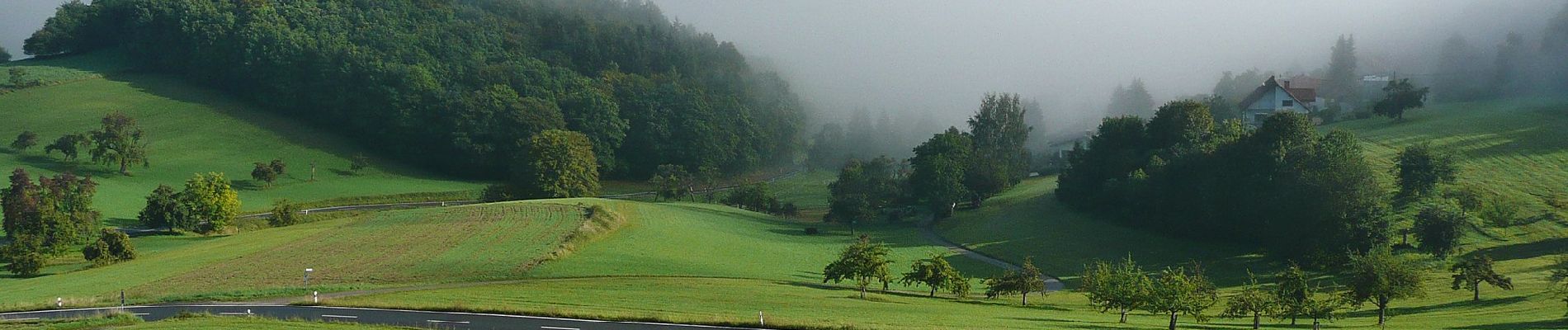 Randonnée A pied Schriesheim - Rundwanderweg Altenbach 1: Hirtenstein-Weg - Photo