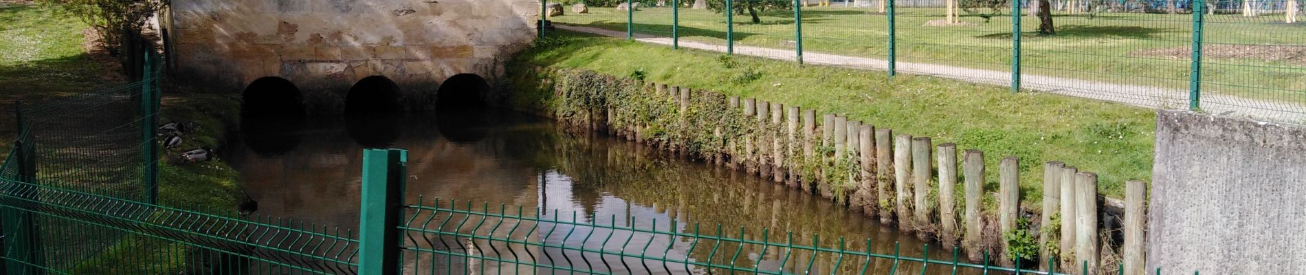 Excursión Senderismo Mérignac - Merignac  - Photo