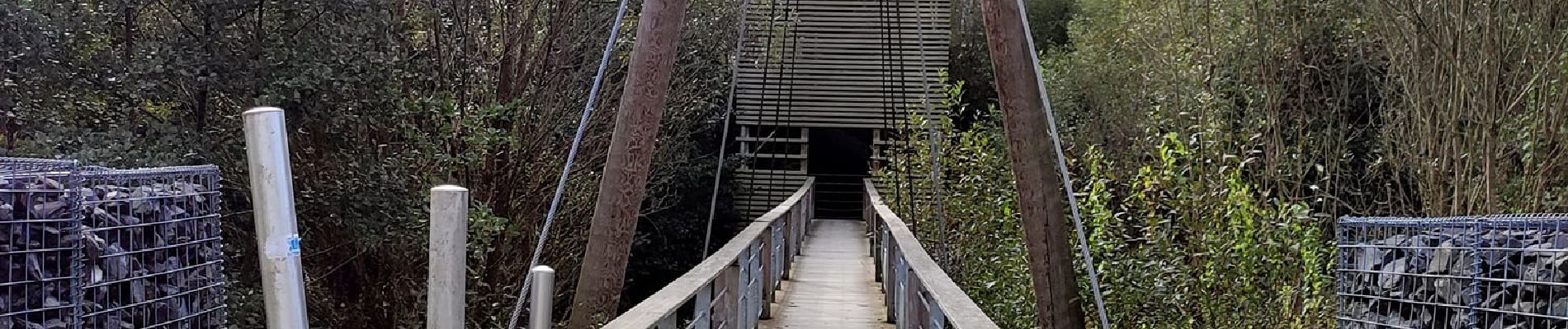 Tocht Stappen Martelange - Promenade des souvenirs en passant par la passerelle des oiseaux  - Photo