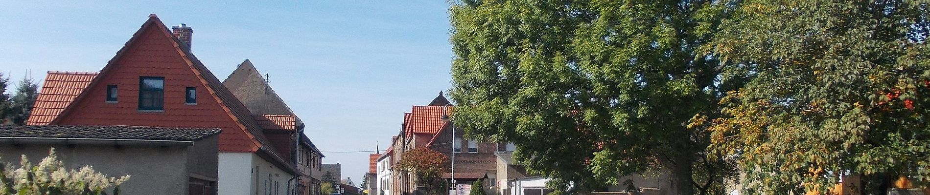 Tour Zu Fuß Mansfeld - Münchhausenweg Wippra - Braunschwende - Photo