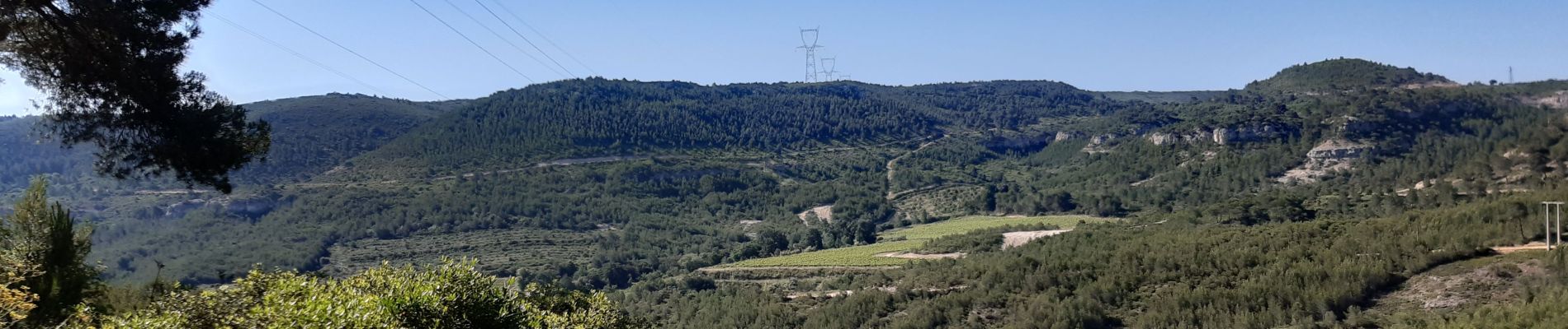 Excursión Bici de montaña Velaux - 2e sortie  - Photo