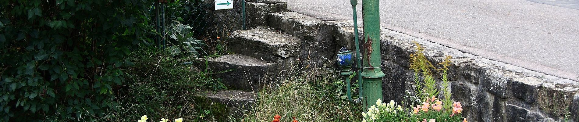 Tocht Te voet Weikersheim - Steinriegelweg - Photo