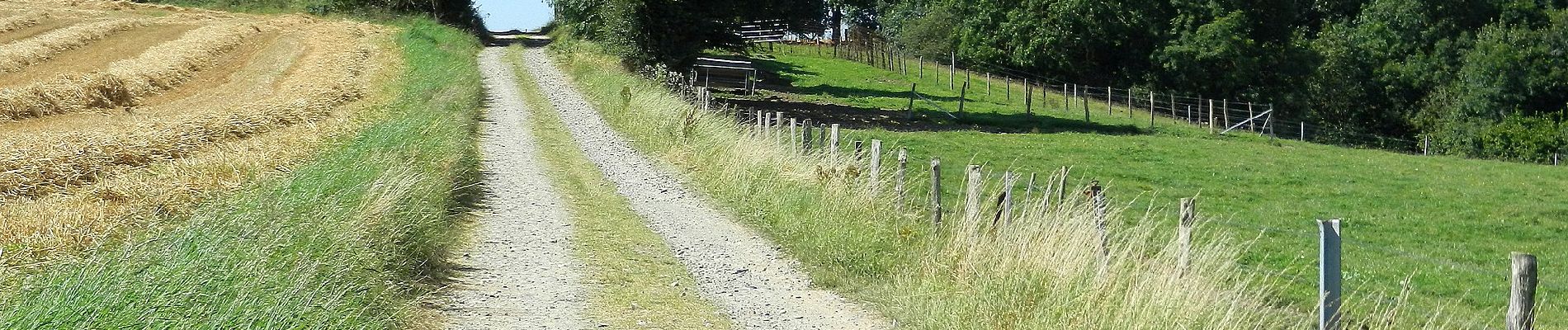 Tocht Te voet Dinant - Promenade les Cascatelles - Photo