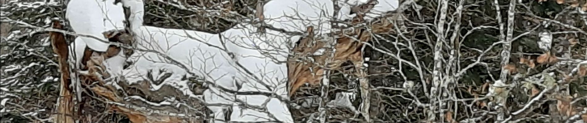 Tour Schneeschuhwandern Azet - st Lary voiture puis col d'Aspin en raquettes - Photo