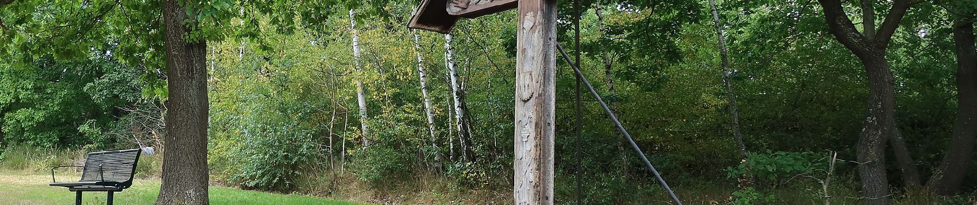 Trail On foot Mechernich - EifelSchleife Vom Mühlensee zum Eifelblick - Photo