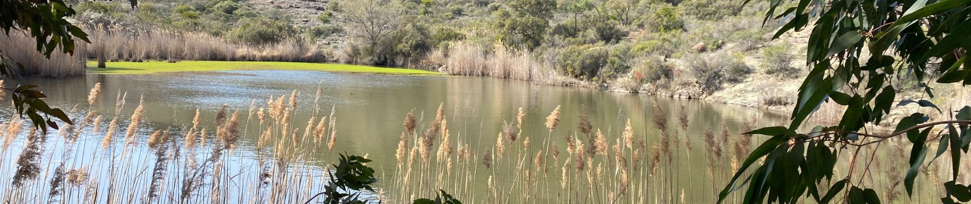 Excursión Bici de montaña Fréjus - Esterel 7  : Fait 2022 avec C et E  - Photo