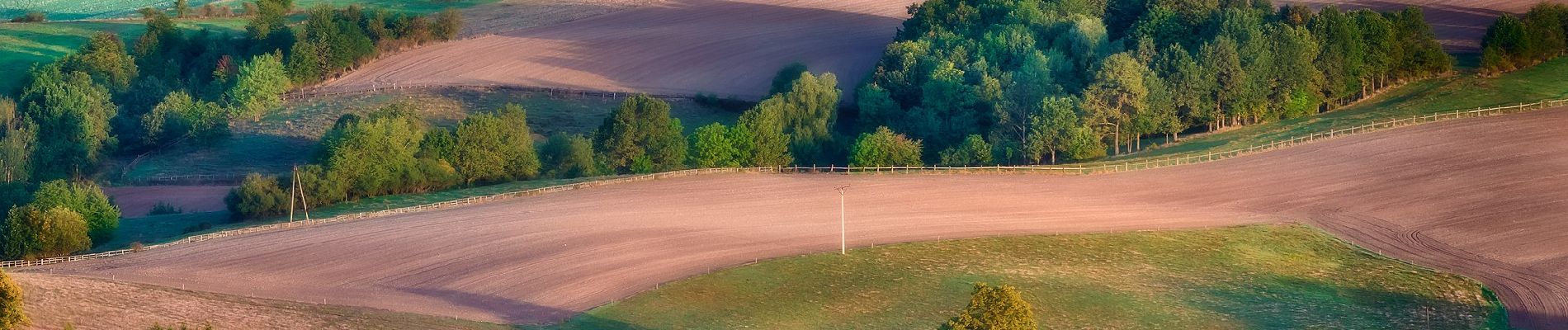 Tocht Te voet Pomocne - Szlak Wygasłych Wulkanów - Photo