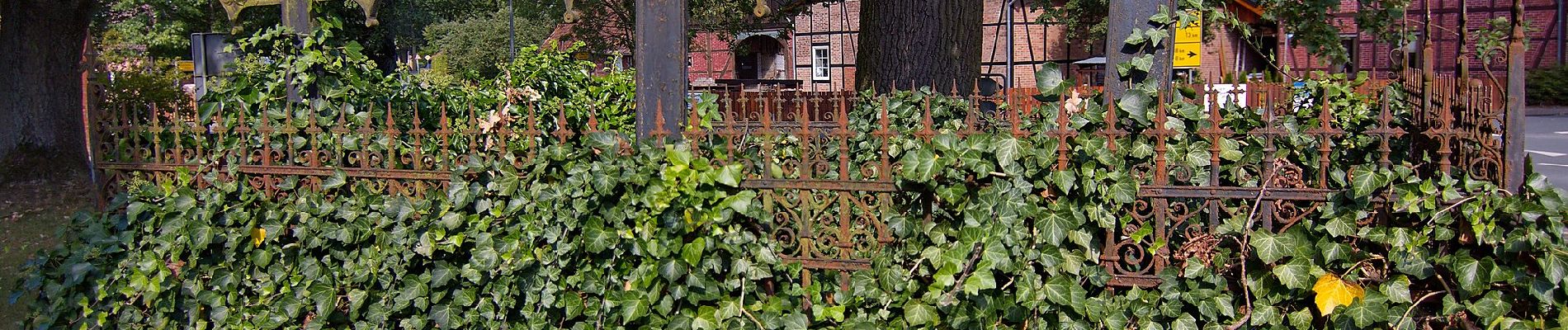 Randonnée A pied Lachendorf - Südheide 'Im Himmelreich' W23m (mittlere Tour) - Photo