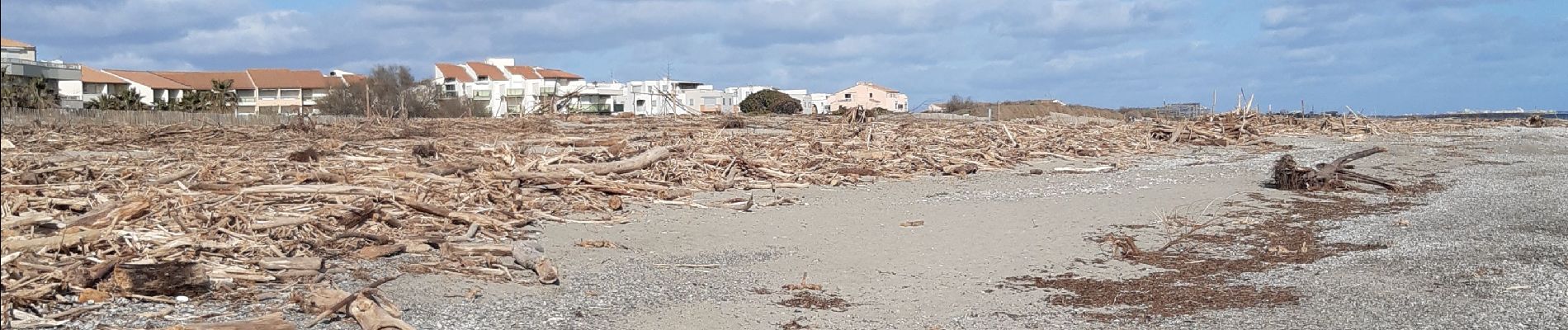 Trail Walking Saint-Cyprien - St Cyprien - Photo