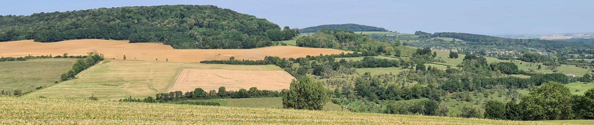 Randonnée Marche Leyr - leyr - Photo