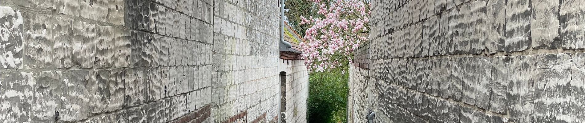 Excursión Marcha nórdica Mont-Saint-Éloi - Les trois abbayes  - Photo