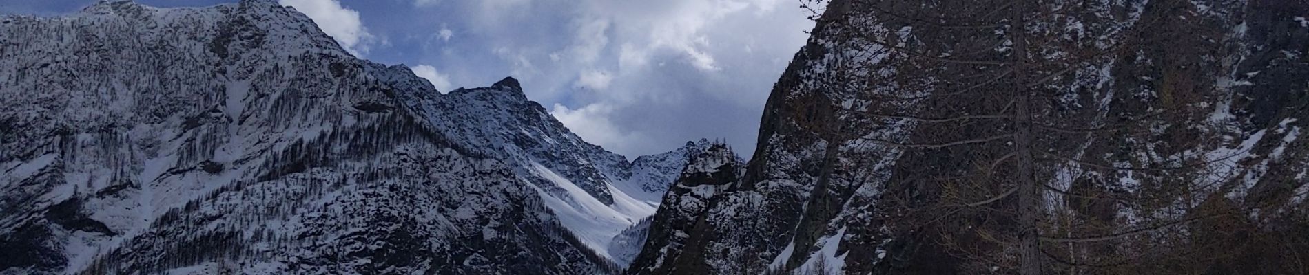 Tocht Sneeuwschoenen Vallouise-Pelvoux - refuge pré de Mme Carle 17 03 21 - Photo