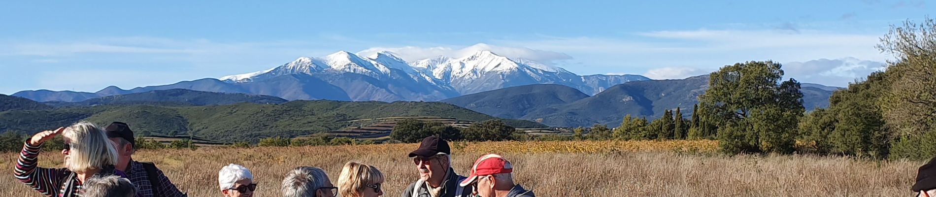 Tocht Stappen Ria-Sirach - fourques marche  - Photo