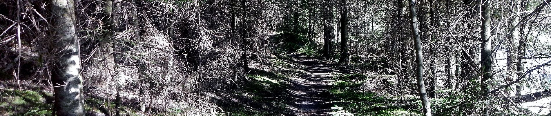 Tocht Te voet Pfalzgrafenweiler - Zinsbachmühle-Waldsägemühle - Photo