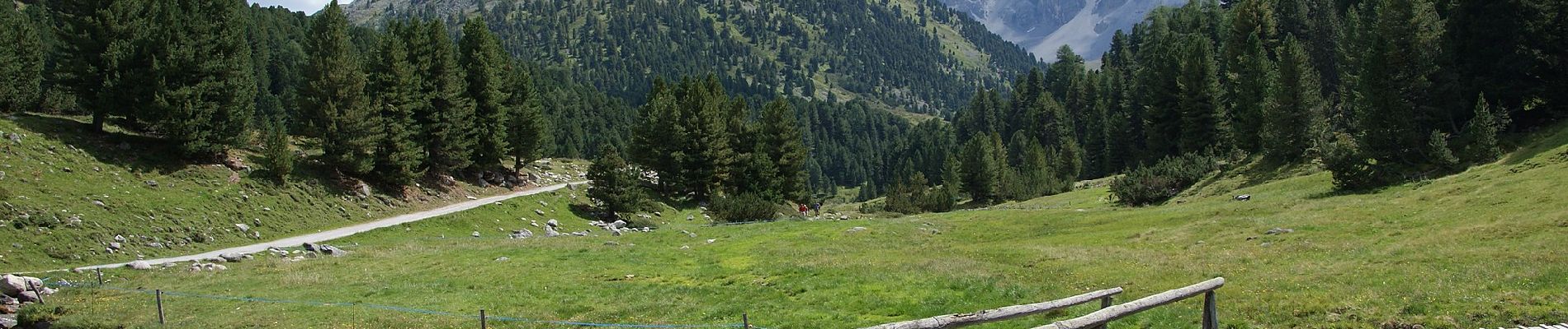 Excursión A pie Taufers im Münstertal - Tubre - Via Alpina Red R68 - Photo