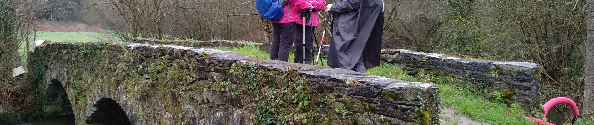 Tour Wandern Châteauneuf-du-Faou - CHÂTEAUNEUF Du FAOU - Photo