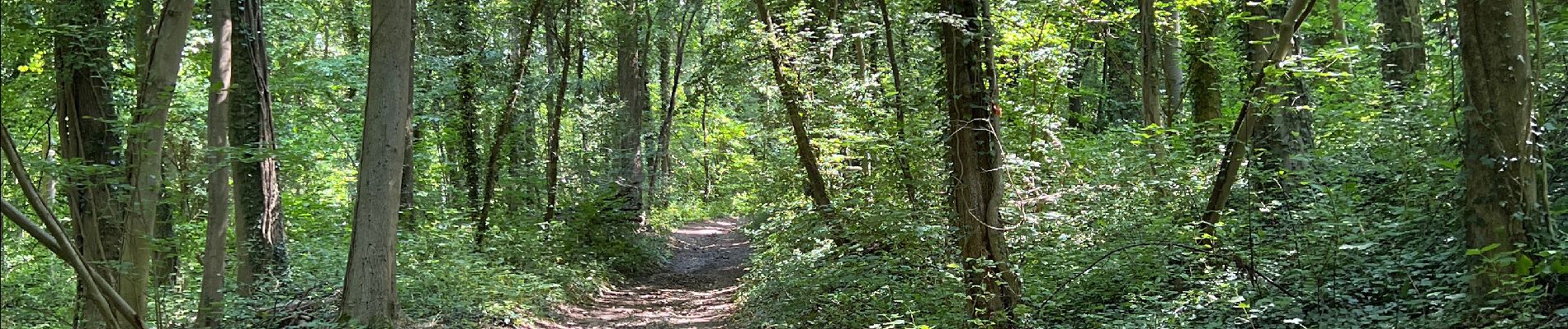 Tocht Stappen Eijsden-Margraten - Rijckholt - Photo