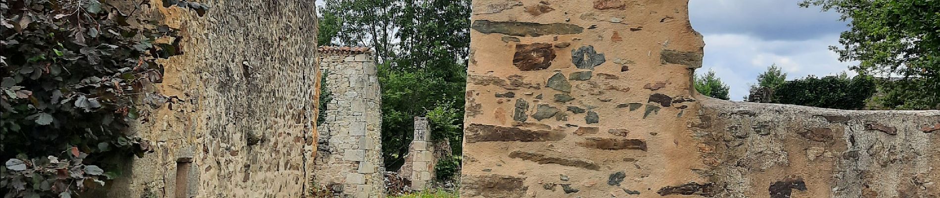 Excursión Senderismo Oradour-sur-Glane - les hauts d'orateur sur glane - Photo