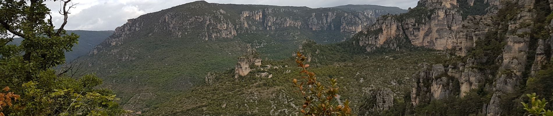 Excursión Senderismo Peyreleau - Peyrelaud - Photo