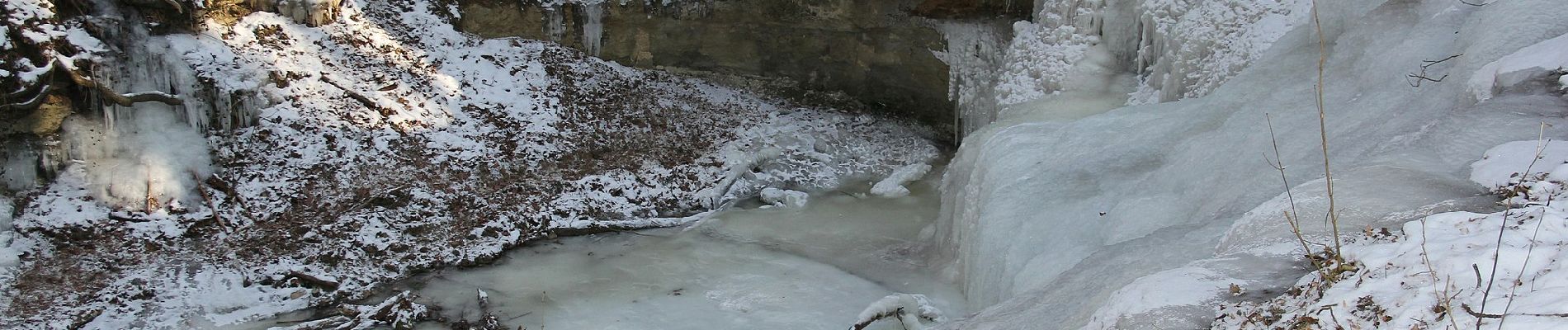 Percorso A piedi Röthenbach an der Pegnitz - Schönberger Jakobsweg - Photo