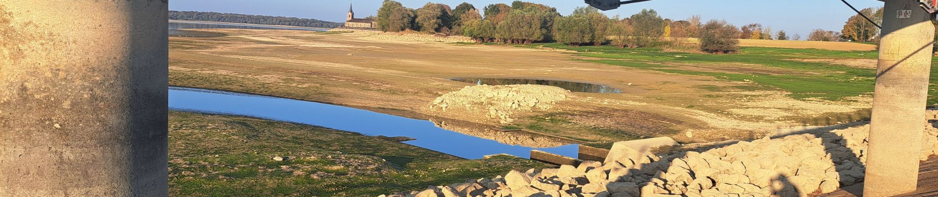 Randonnée Marche Giffaumont-Champaubert - lac du der - Photo