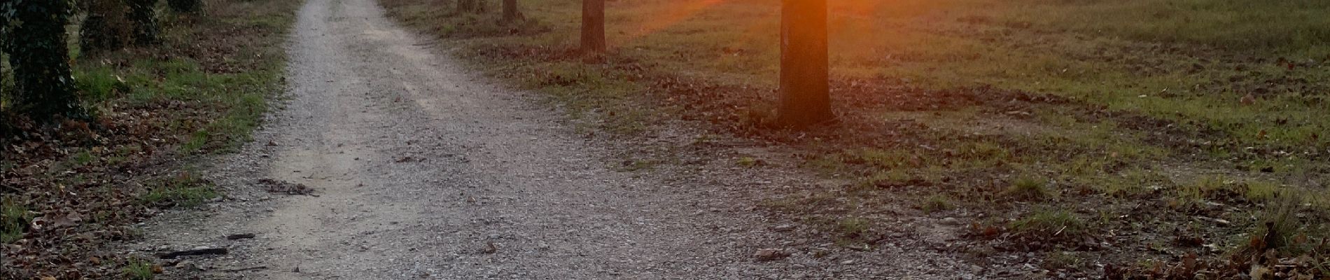 Tocht Stappen Bollène - Chabrieres  - Photo