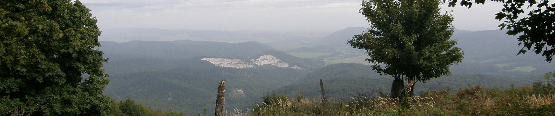 Trail On foot District of Piešťany - Lazová 100 - Photo