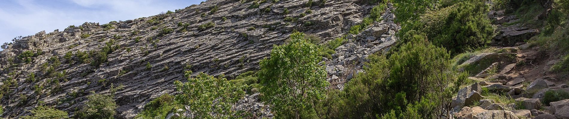 Percorso A piedi Marciana - GTE Tappa 3 - Photo