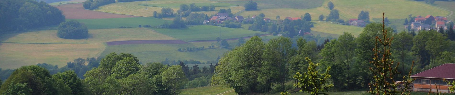 Percorso A piedi Poppenhausen - Poppenhausen Wanderweg 2 - Photo