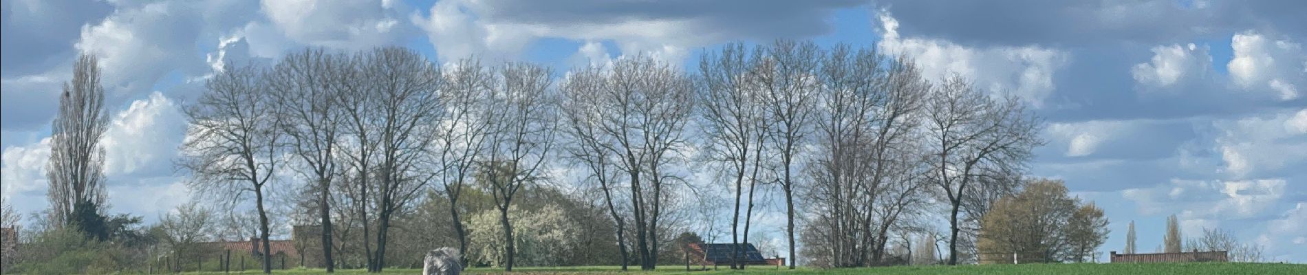 Tocht Stappen Holsbeek - Sin Pieter Rode  - Photo