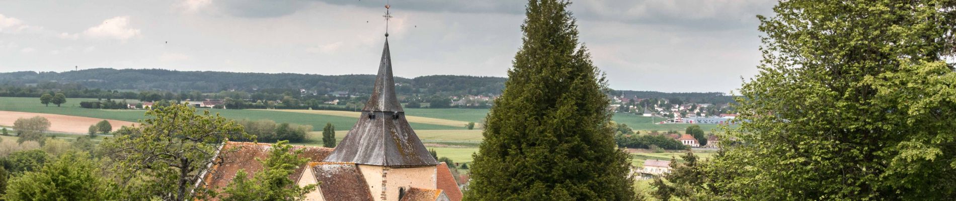 Tour Wandern La Chapelle-Montligeon - La Chapelle-Montligeon - Tourouvre 19 km - Photo