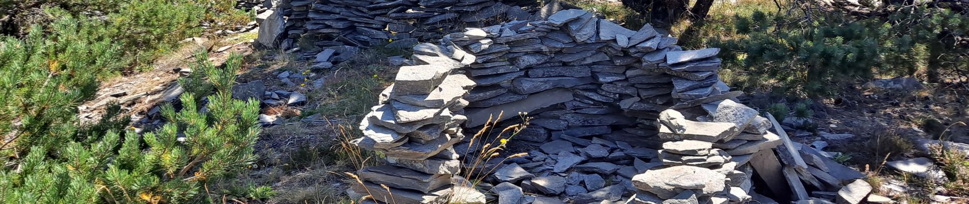 Tour Wandern Chaudeyrolles - Mont Signon - Photo