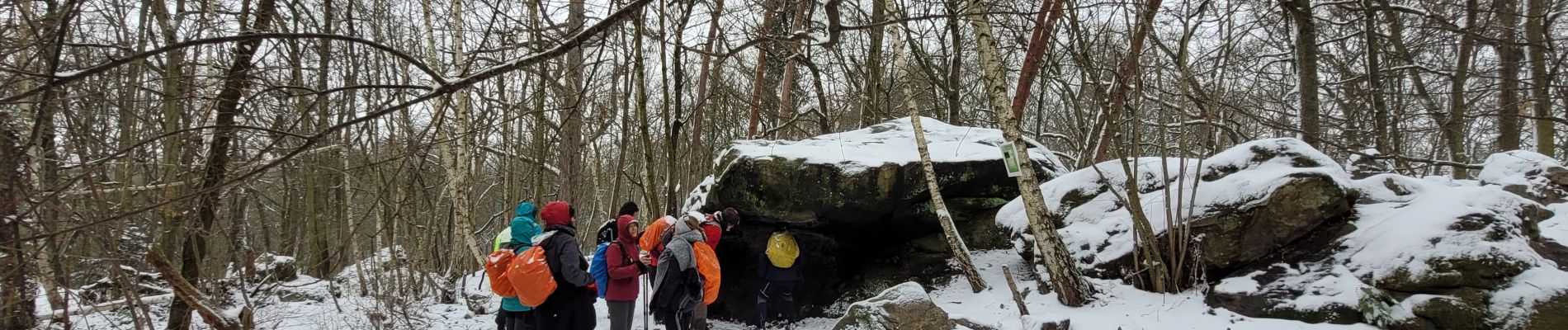 Excursión Senderismo Ballancourt-sur-Essonne - Boucle Ballancourt / essonne sous la neige - Photo