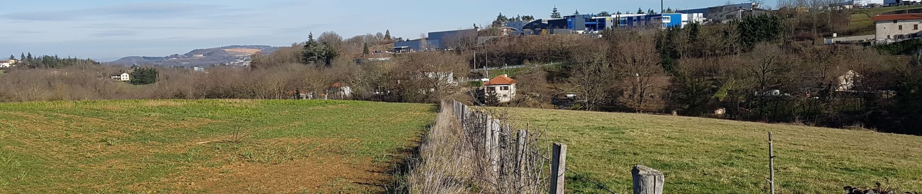 Randonnée Marche Lentilly - Viaduc Lentilly - Photo