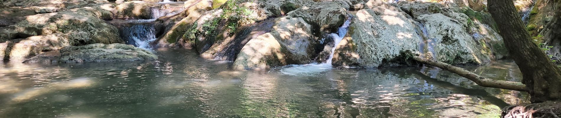 Excursión Senderismo Méounes-lès-Montrieux - Le Gapeau vers l'étang 2 - Photo