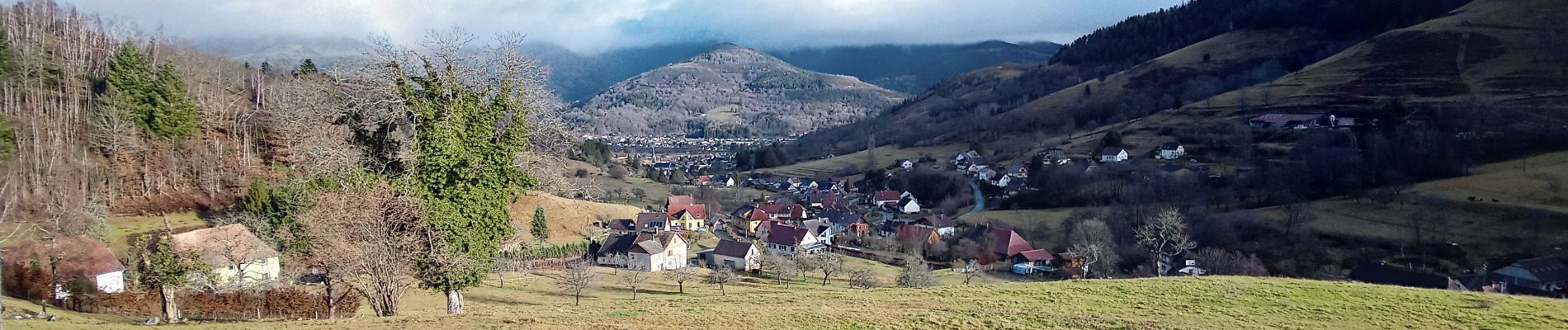 Trail Walking Mitzach - Mitzbach (30 déc. 2021) - Photo