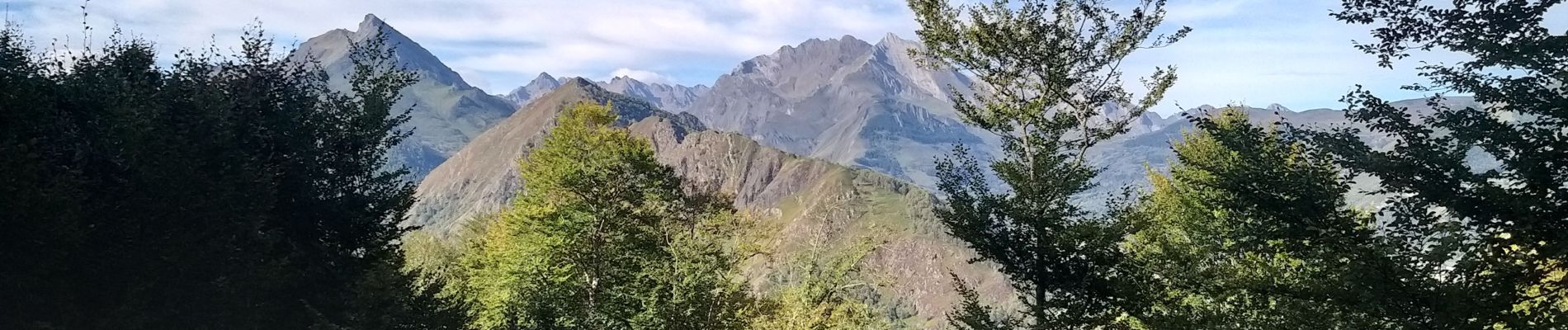 Excursión Senderismo Arras-en-Lavedan - Sur la hauteur de Sireix - Photo