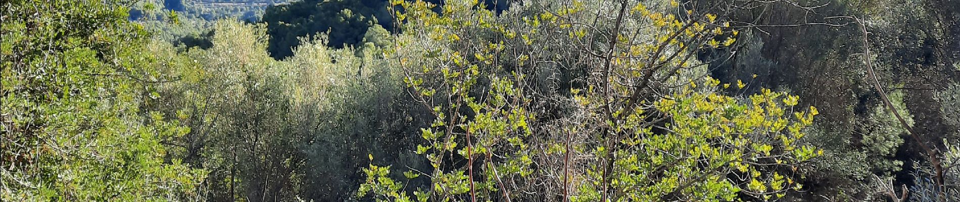 Randonnée Marche el Castell de Guadalest - vivvod - Photo